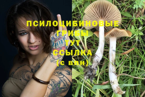 MDMA Протвино