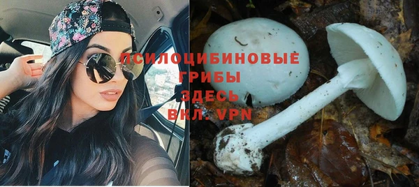 ешки Приозерск