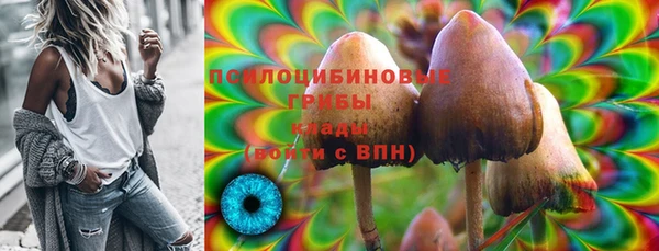 MDMA Протвино