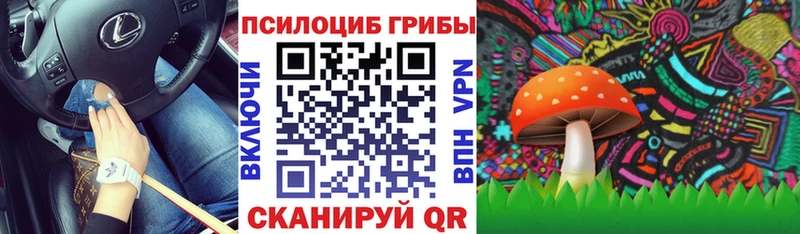 Псилоцибиновые грибы Psilocybine cubensis  магазин продажи   Сурск 
